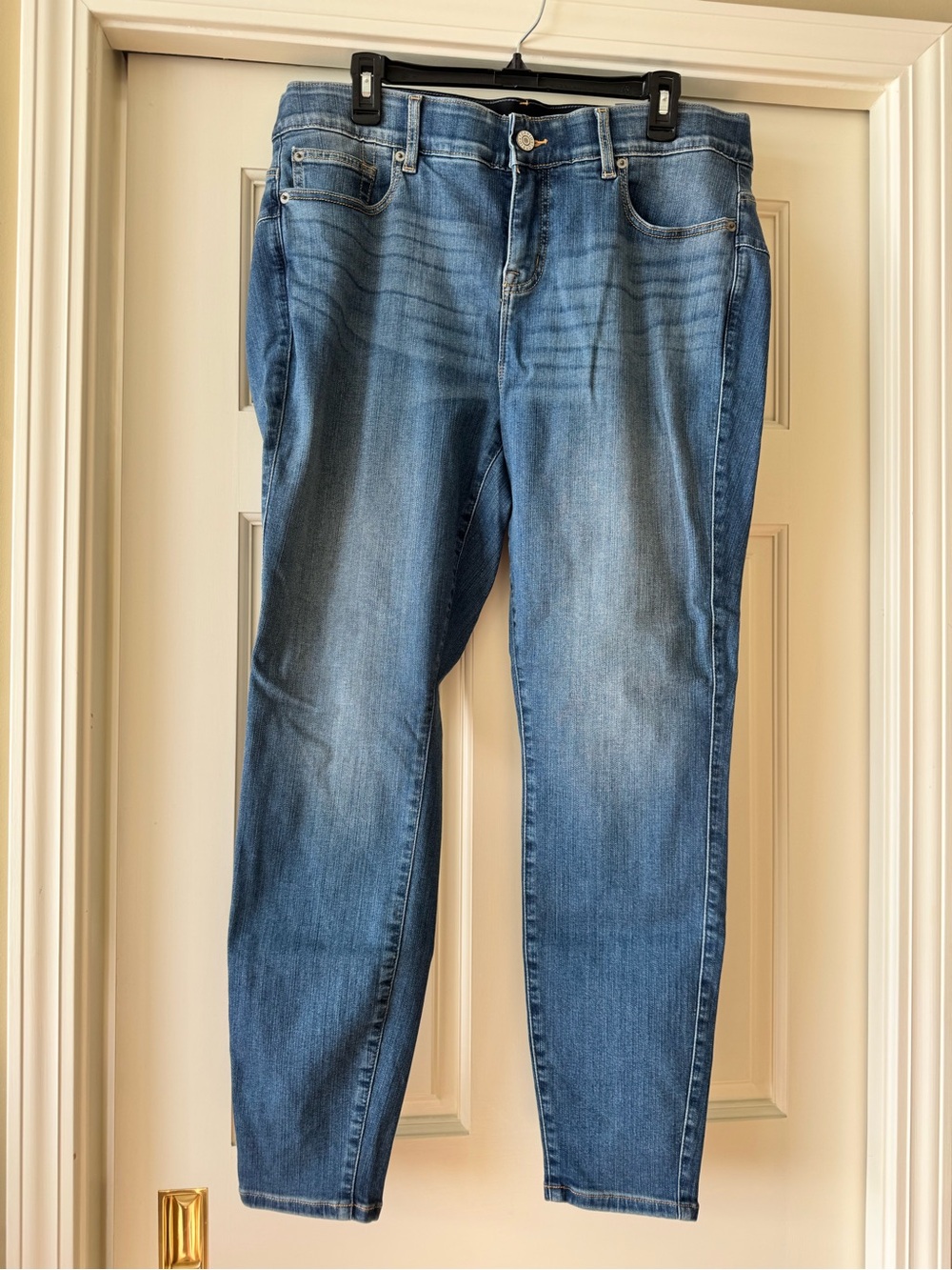 torrid Skinny Jeans in Medium Blue Wash